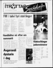 Síða 15