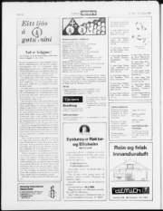 Síða 22