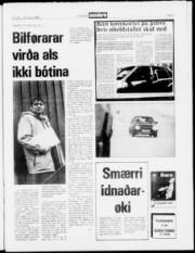 Síða 3