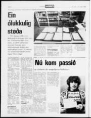Síða 2