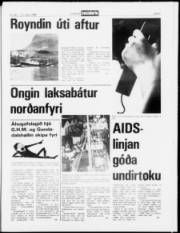 Síða 5