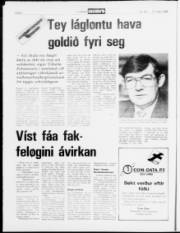 Síða 8