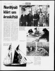 Síða 11