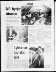 Síða 20