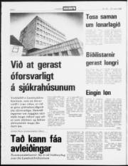 Síða 2