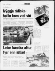 Síða 3