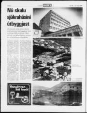 Síða 8