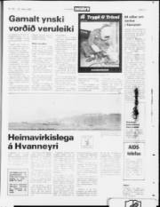 Síða 19