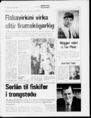 Síða 3