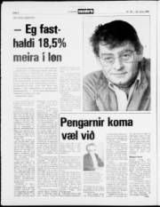 Síða 8