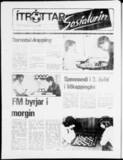 Síða 17