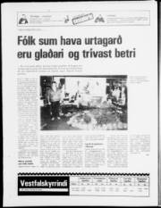 Síða 23