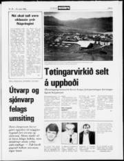 Síða 5