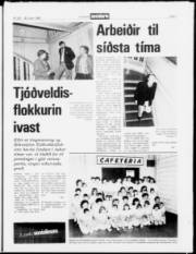 Síða 3