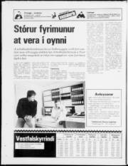 Síða 24