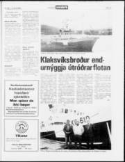 Síða 15