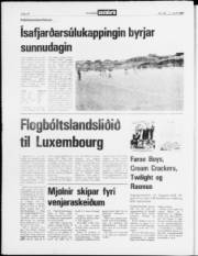 Síða 18