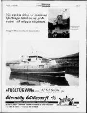 Síða 19