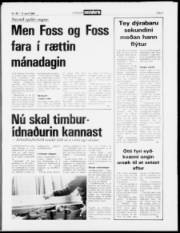 Síða 5