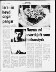 Síða 15