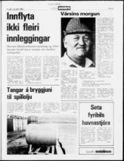 Síða 21