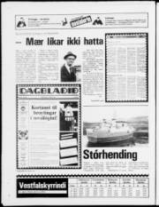Síða 24