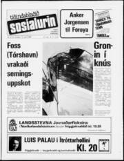 Síða 1