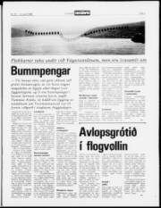 Síða 3