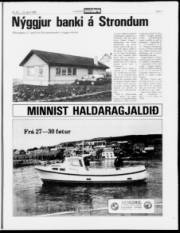 Síða 9