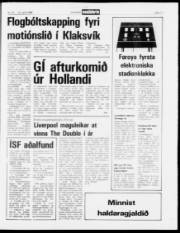 Síða 17