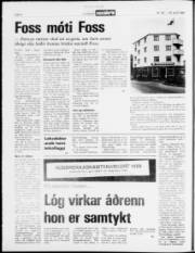Síða 4