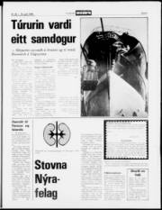 Síða 5