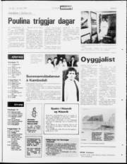 Síða 23