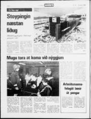 Síða 2