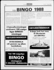 Síða 8