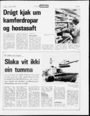 Síða 15