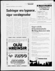 Síða 20
