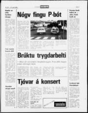 Síða 5