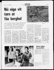 Síða 3