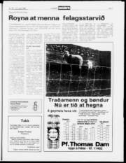 Síða 7
