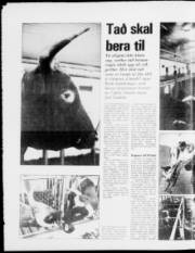 Síða 12