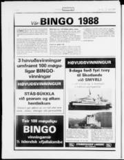 Síða 20