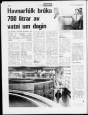 Síða 8