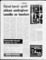 Síða 10