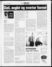 Síða 17