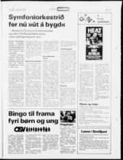 Síða 19
