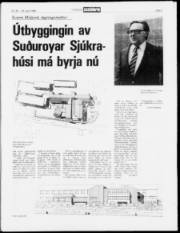 Síða 25