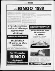 Síða 28