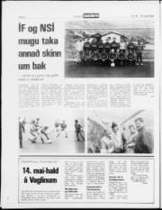 Síða 32