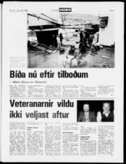 Síða 5